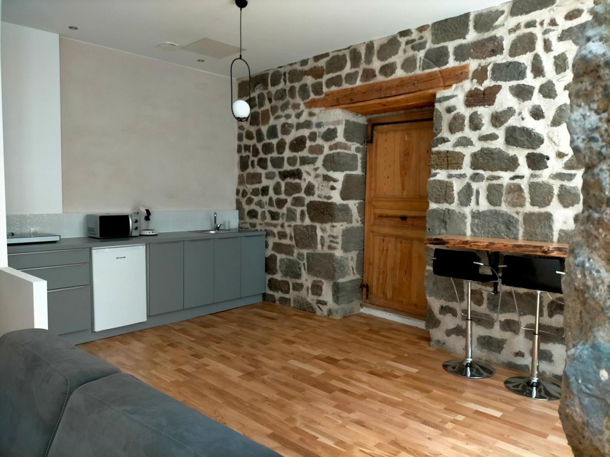 Le Puy-en-VelayLe Relax Maxアパートメント エクステリア 写真