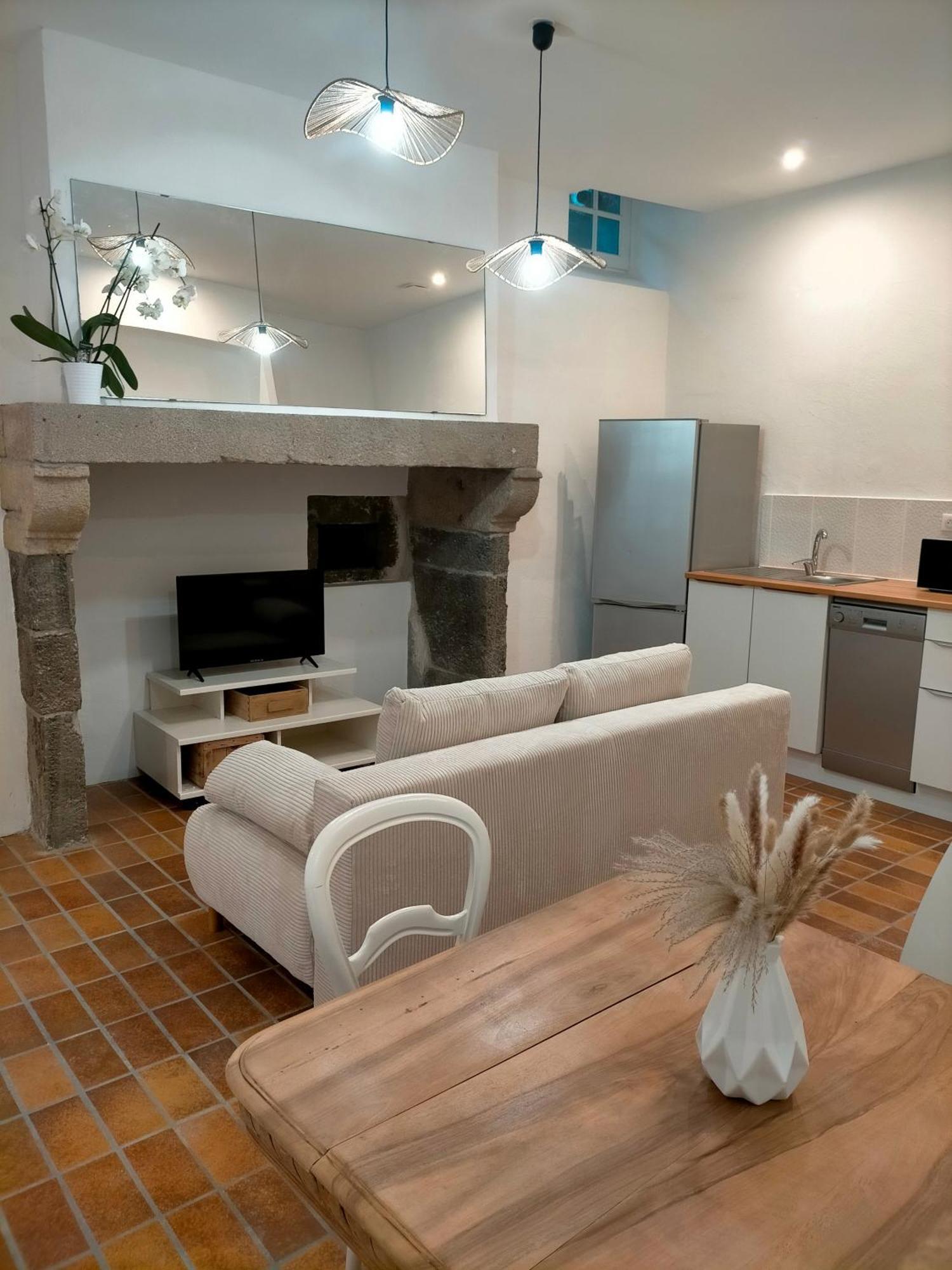 Le Puy-en-VelayLe Relax Maxアパートメント エクステリア 写真