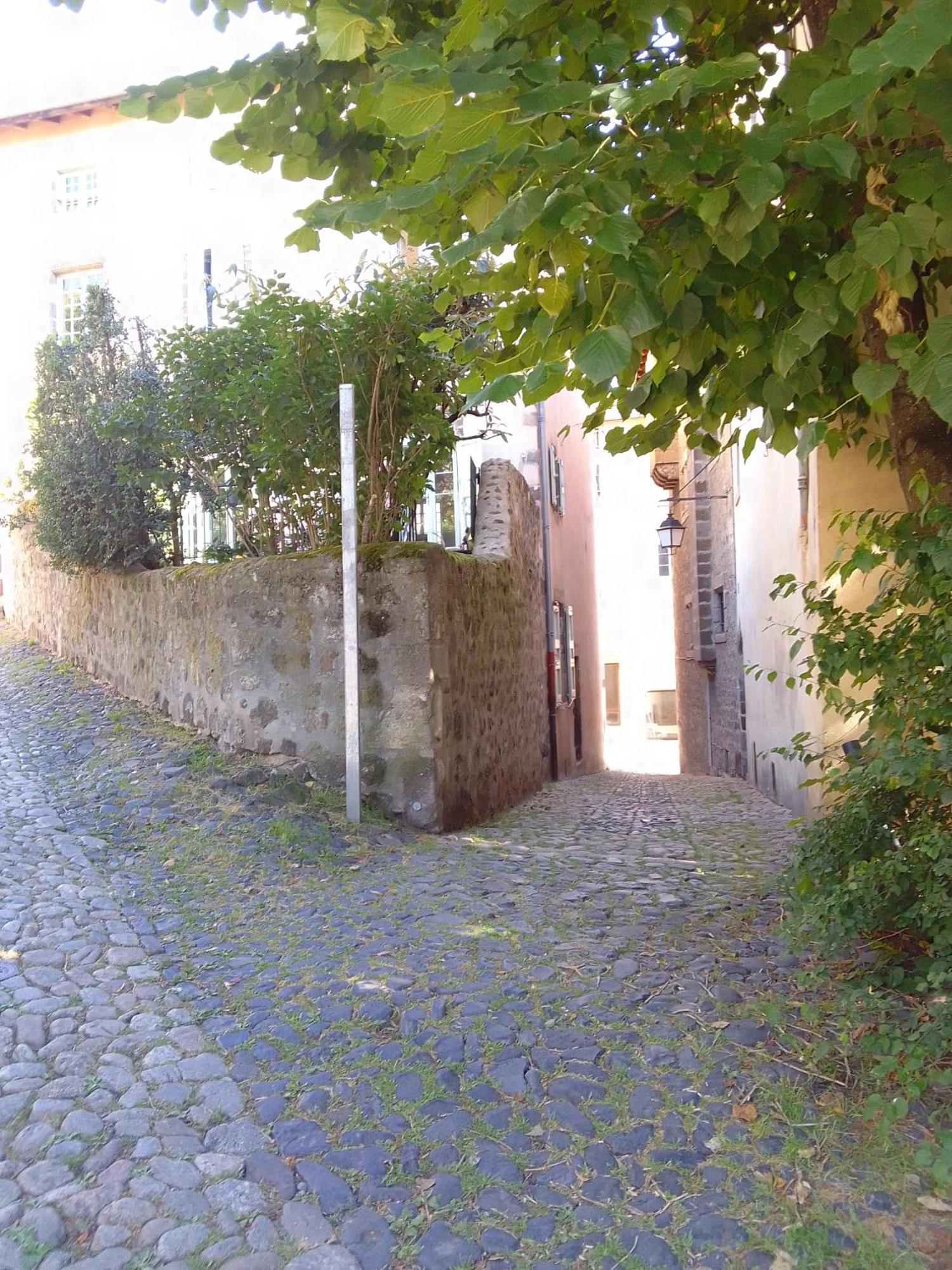 Le Puy-en-VelayLe Relax Maxアパートメント 部屋 写真